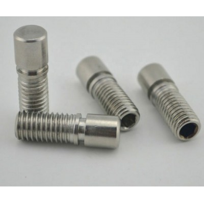 Customized high Precision Multiple specifications Non-standard screw